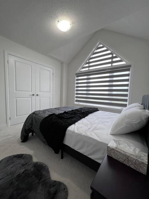 Brand New 4 Bedroom Villa By Hamilton Airport! Екстер'єр фото