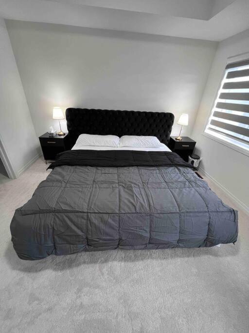 Brand New 4 Bedroom Villa By Hamilton Airport! Екстер'єр фото